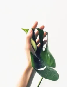 Familienbudget planen mit der Umschlagmethode - frugalista