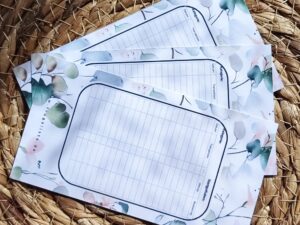 Budget Binder Tracker Eukalyptus