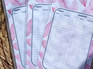 Budget Binder Tracker Blatt